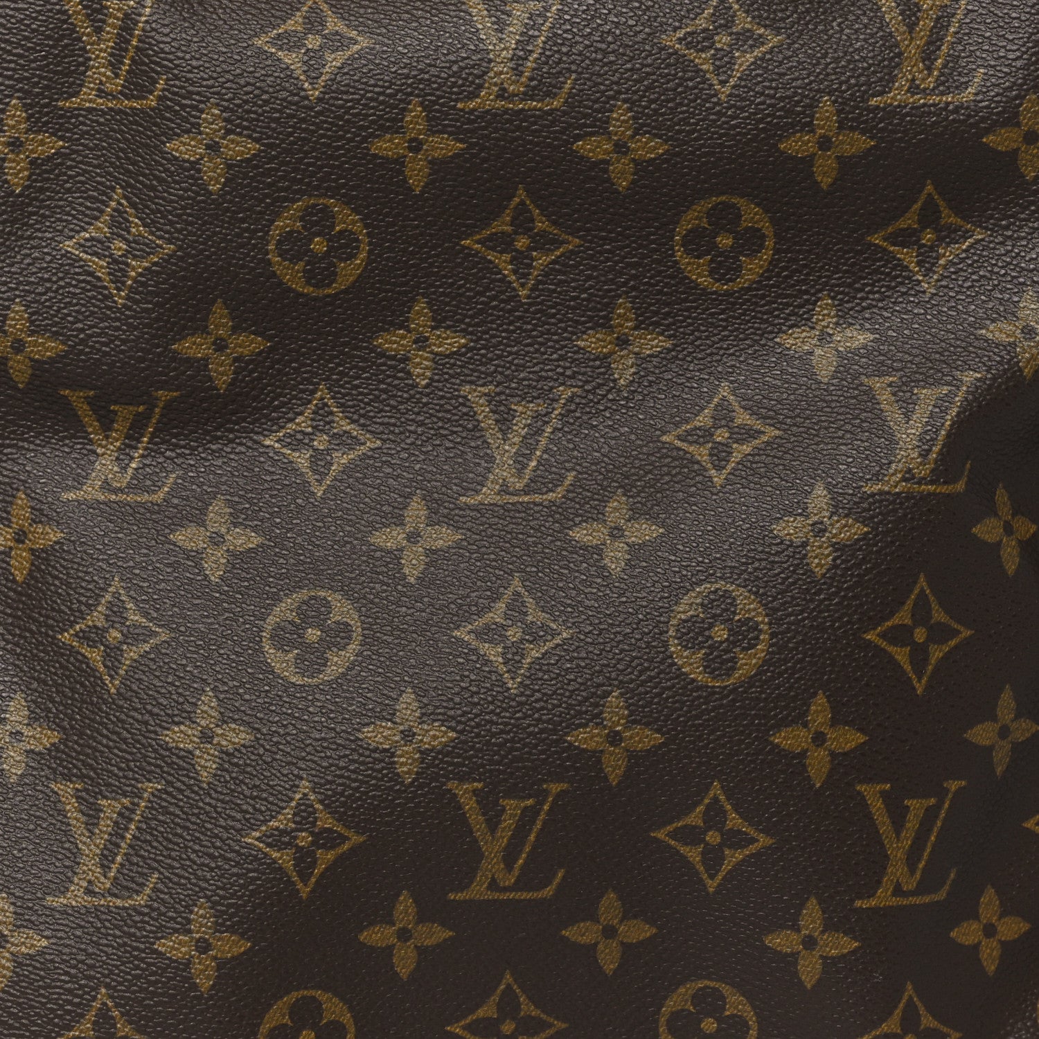 Louis Vuitton Monogram Excursion Shoe Bag 7 of 9