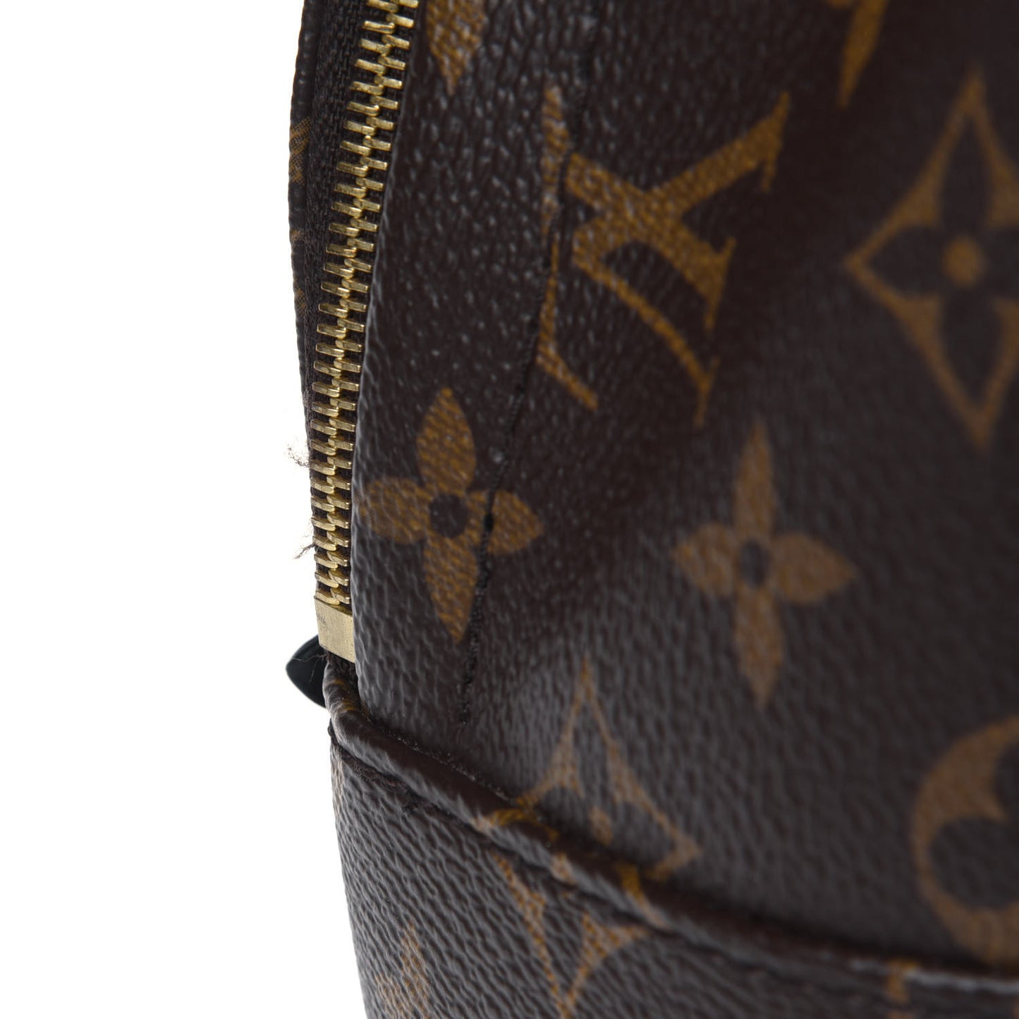 Monogram Palm Springs Backpack Mini