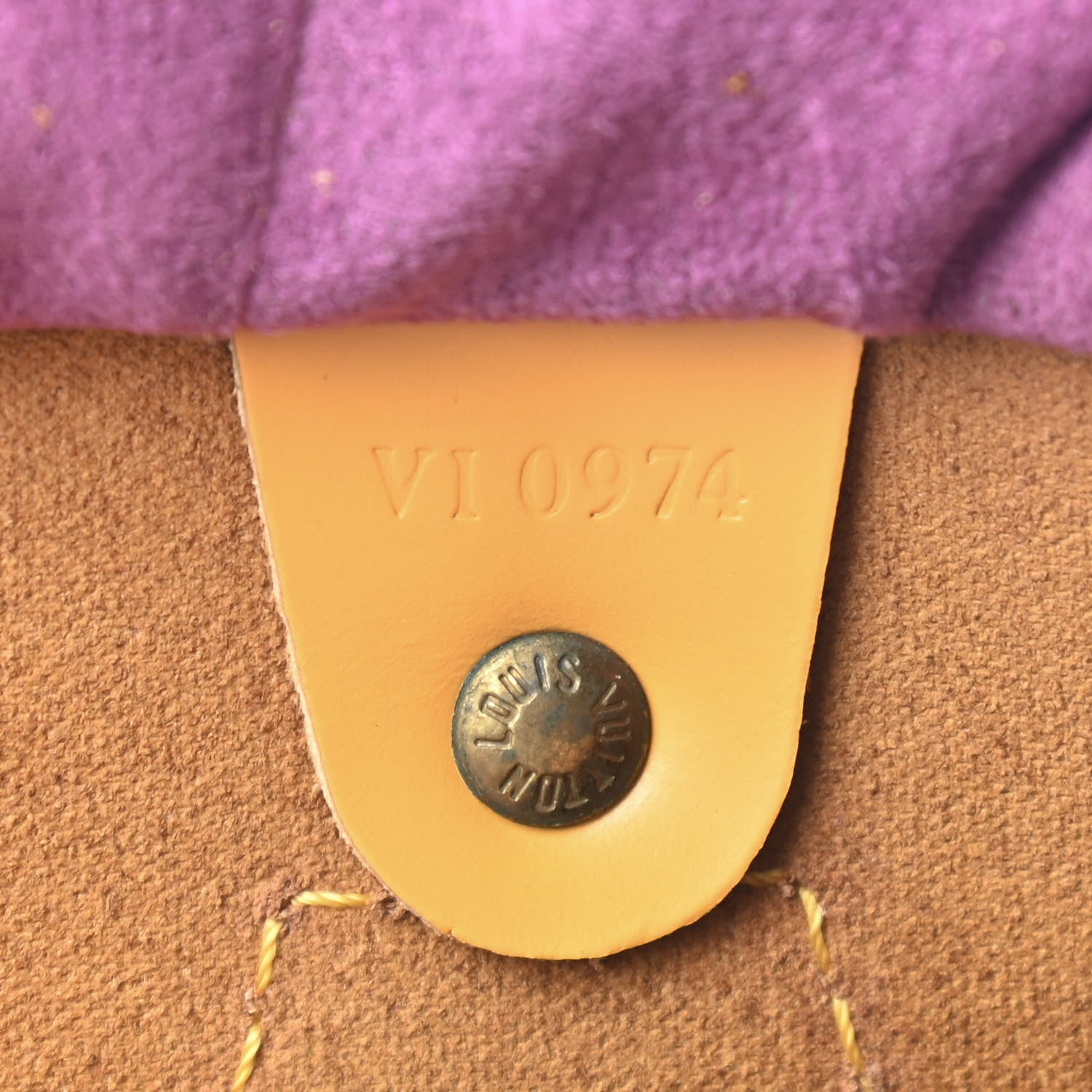 Louis Vuitton Epi Speedy 25 Tassil 6 of 16