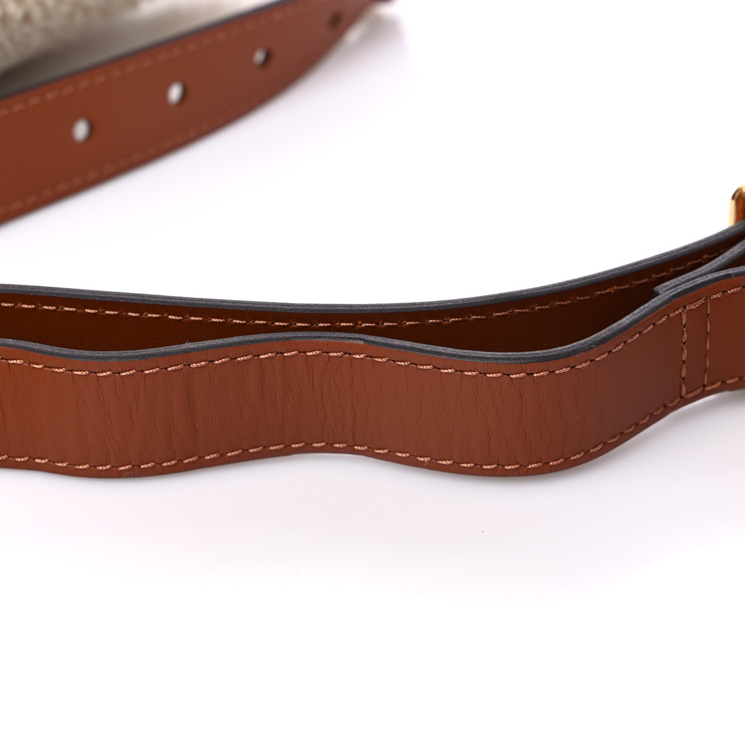 Louis Vuitton Monogram Teddy Bumbag 9 of 9
