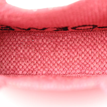 Loewe X PAULA'S IBIZA Raffia Font Tote Sunset Pink 5 of 12