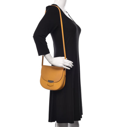Celine Baby Grained Calfskin Small Trotteur Saffron 2 of 12