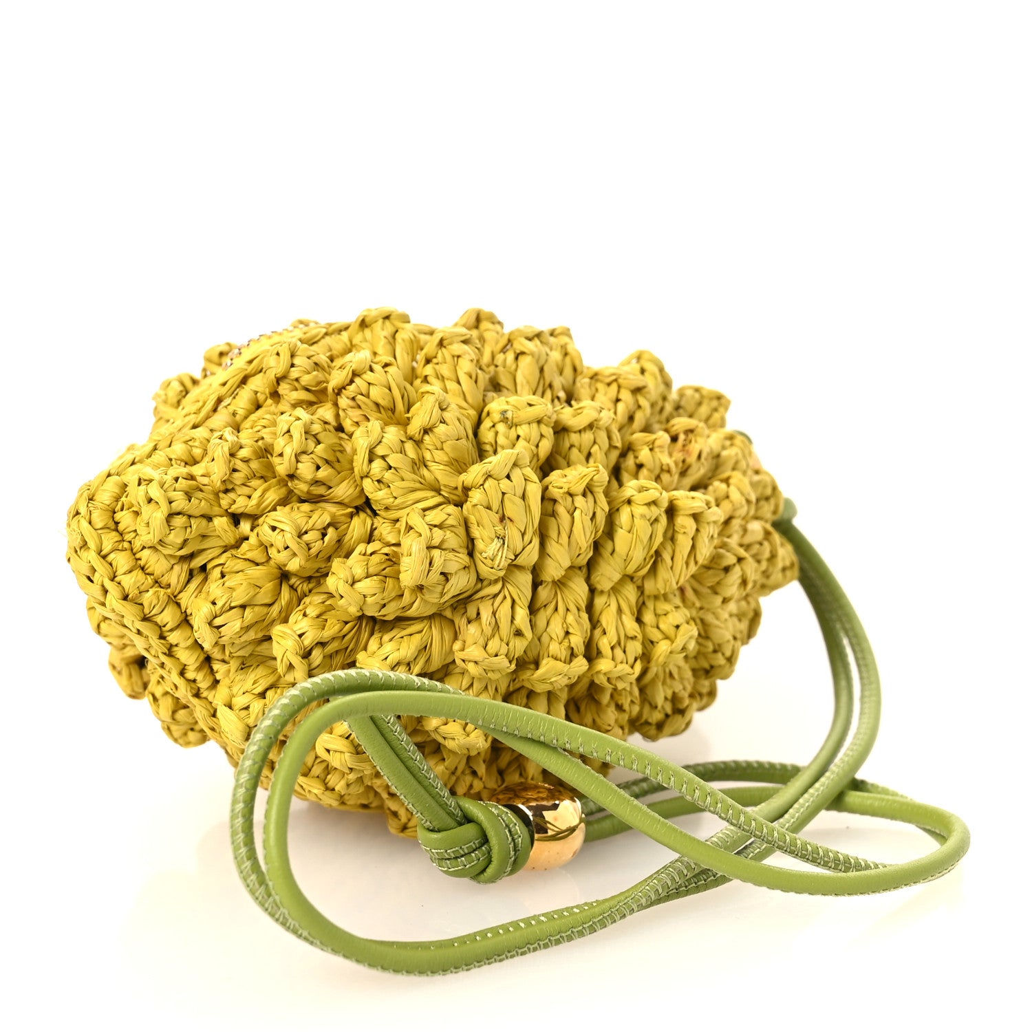 Loewe Raffia Calfskin Paula's Ibiza Lemon Coin Case Yellow 5 of 12