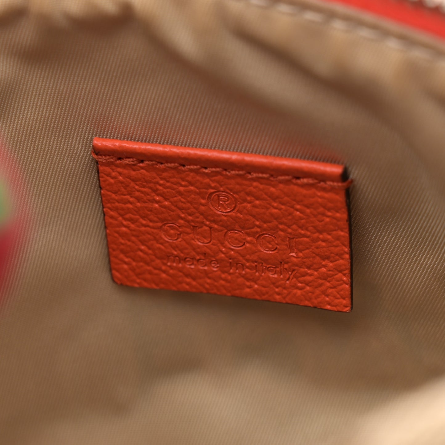 X THE NORTH FACE Monogram Textured Dollar Calfskin Embroidered Belt Bag Beige Ebony Mystic White Deep Orange