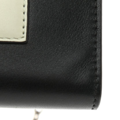 Celine Shiny Calfskin Clutch on a Chain Multicolor 11 of 11