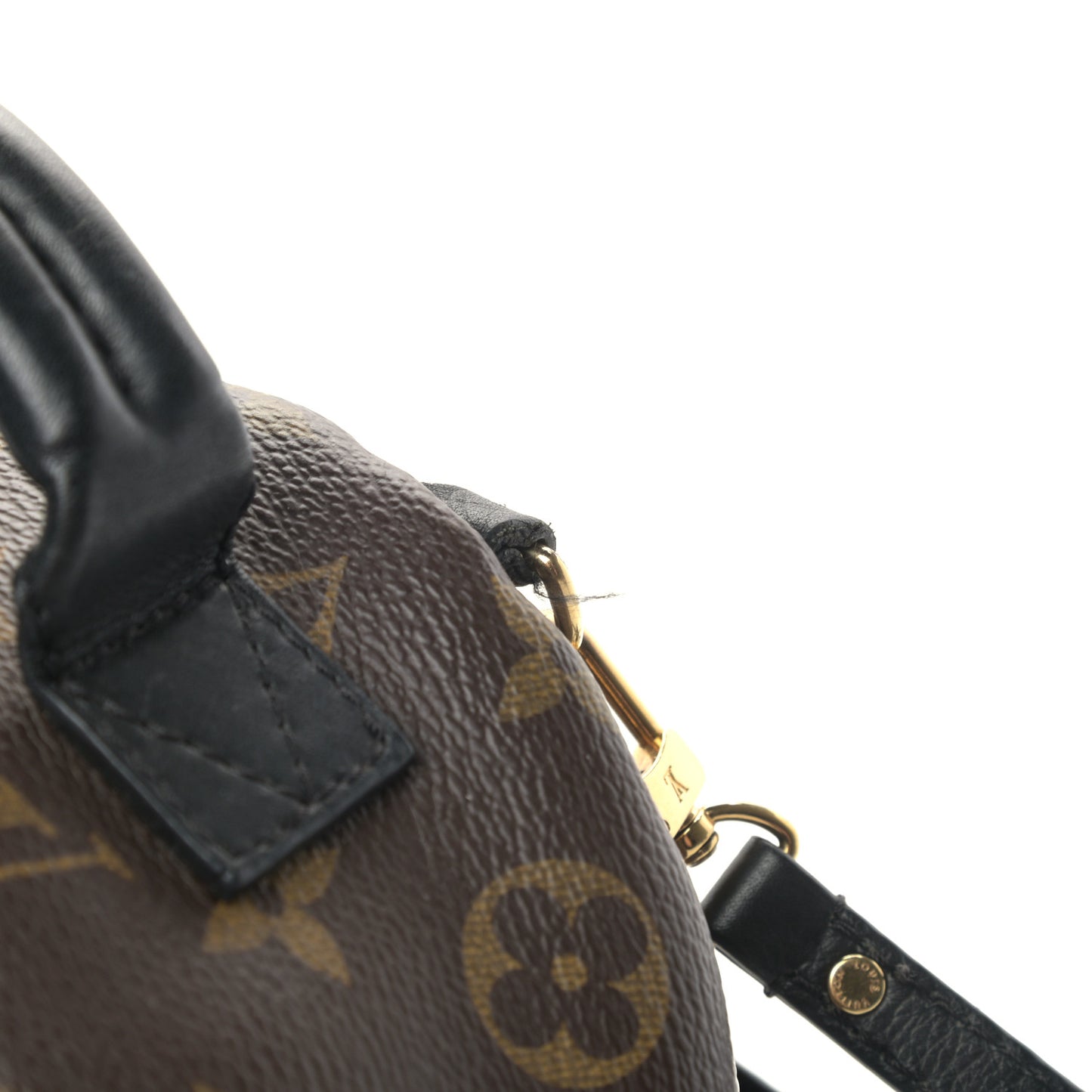 Monogram Palm Springs Backpack Mini