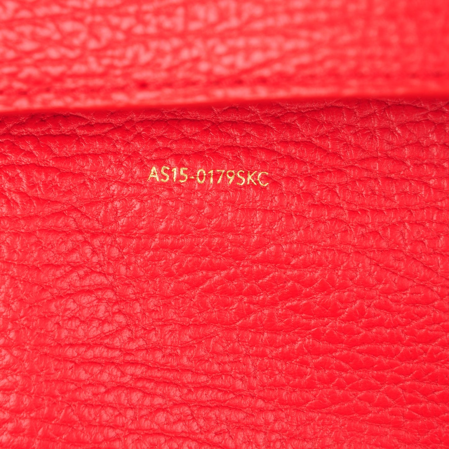 3.1 Textured Calfskin Medium Pashli Satchel Red