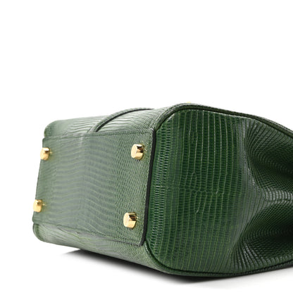 Celine Lizard Small 16 Top Handle Bag Green 10 of 10