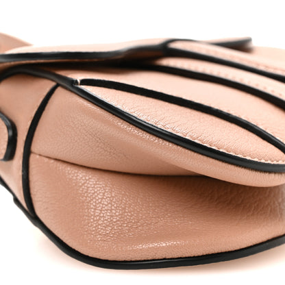 Christian Dior Goatskin Micro Saddle Bag Rose Des Vent 8 of 9