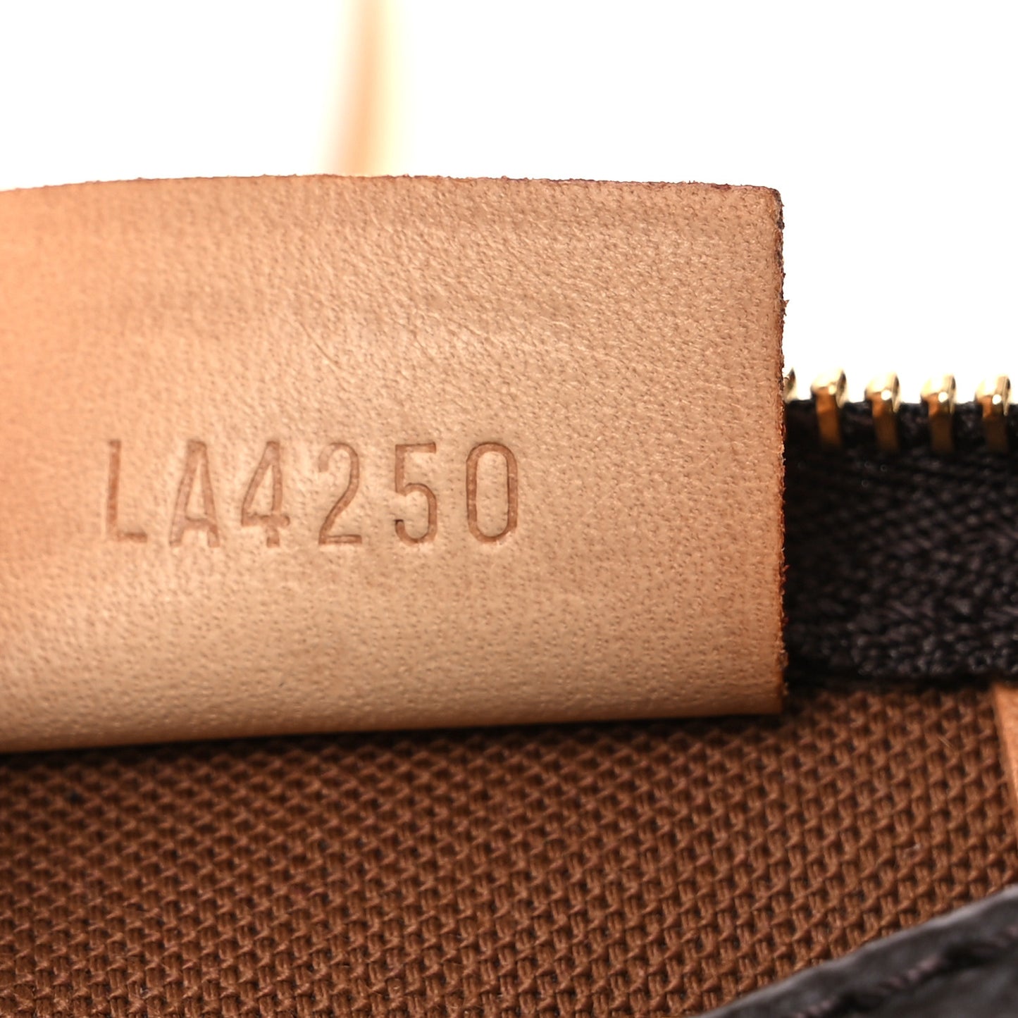 Monogram Nano Speedy