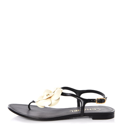 Chanel Lambskin Camellia Thong Sandals 35.5 Black White 1 of 11