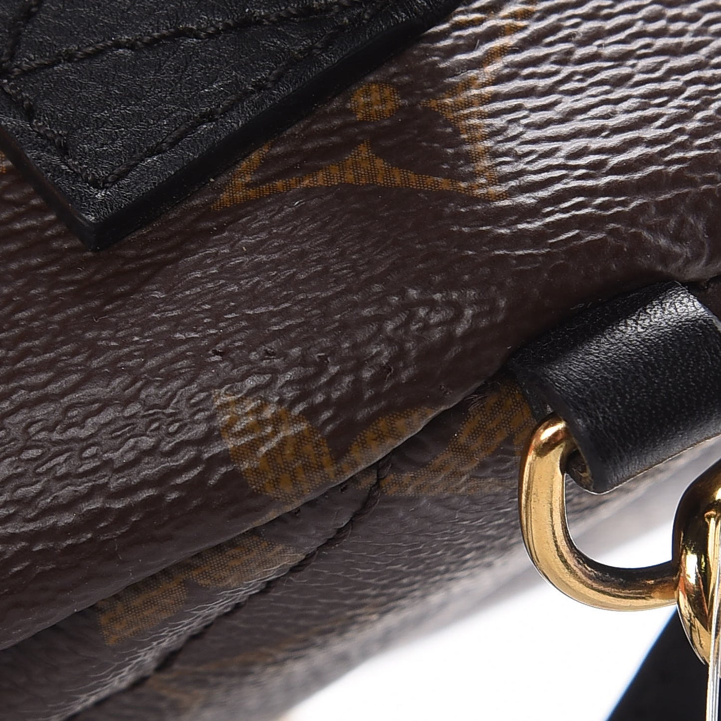 Monogram Palm Springs Backpack Mini