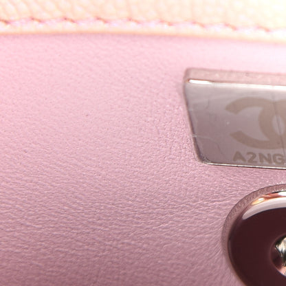 Chanel Iridescent Caviar Quilted Mini Coco Handle Flap Pink 6 of 8
