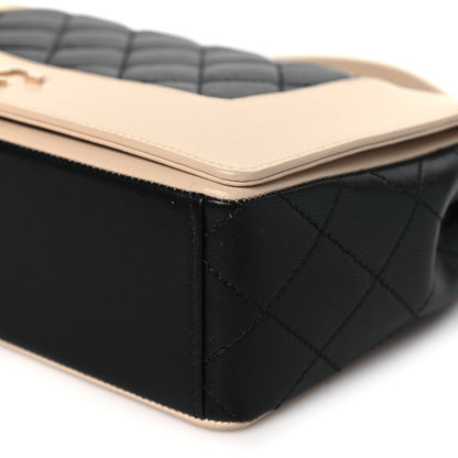 Chanel Sheepskin Quilted Vintage Mademoiselle Flap Beige Black 10 of 11