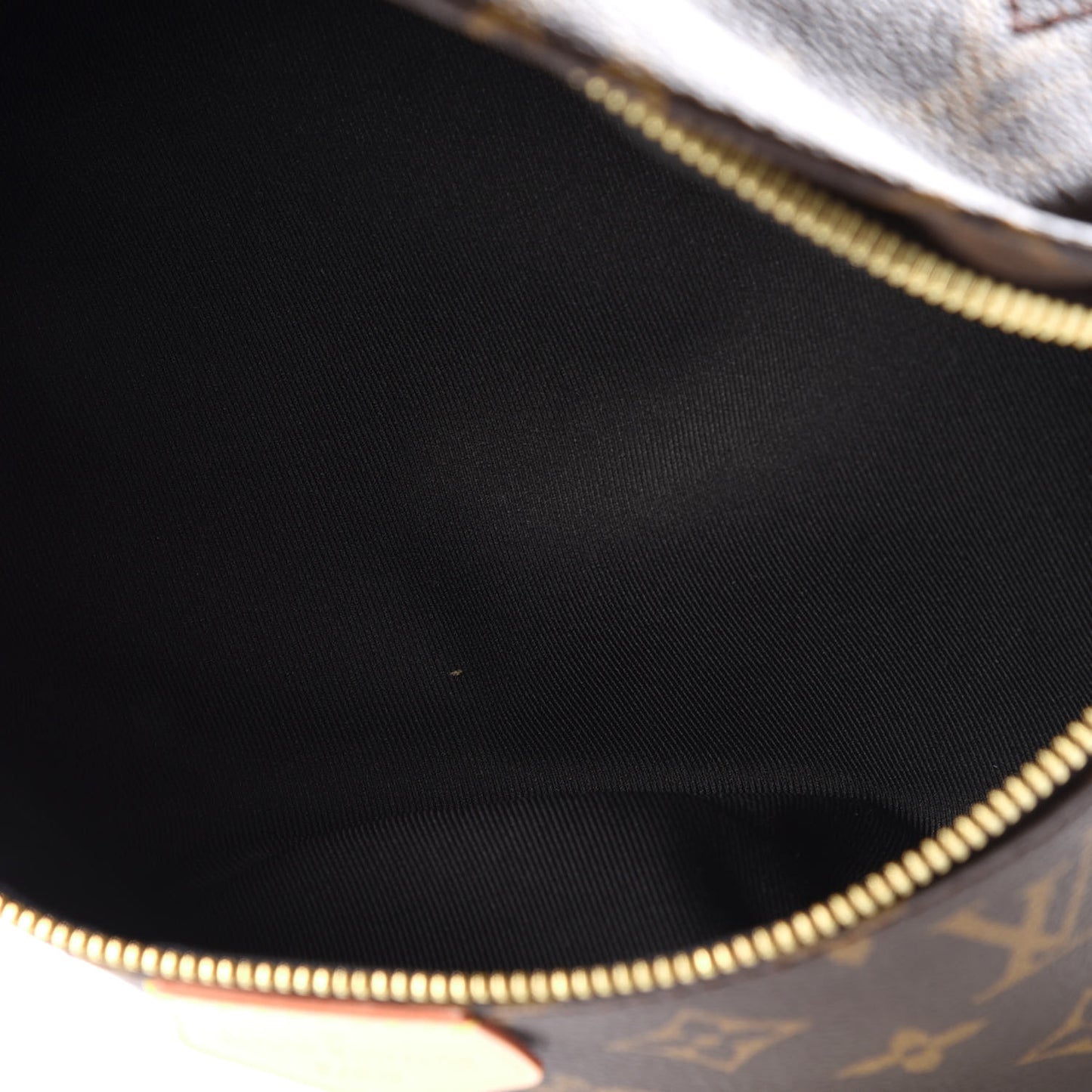 Monogram Bumbag