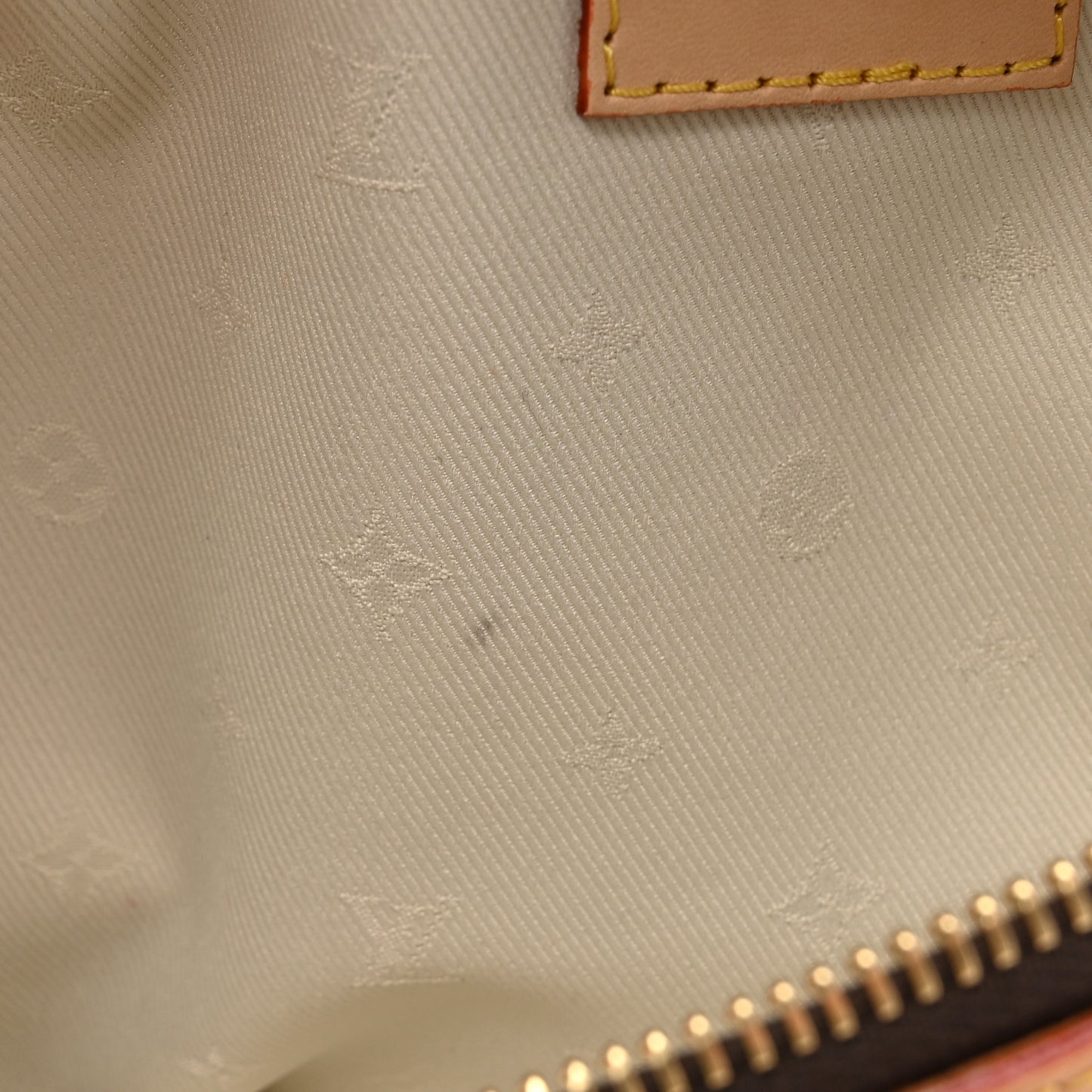 Monogram High Rise Bumbag