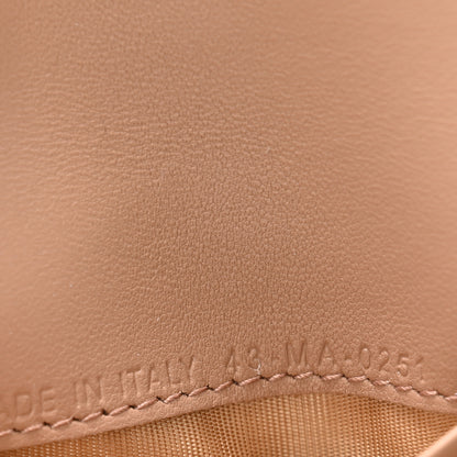 Christian Dior Grained Calfskin Saddle Card Holder Fard 7 of 9
