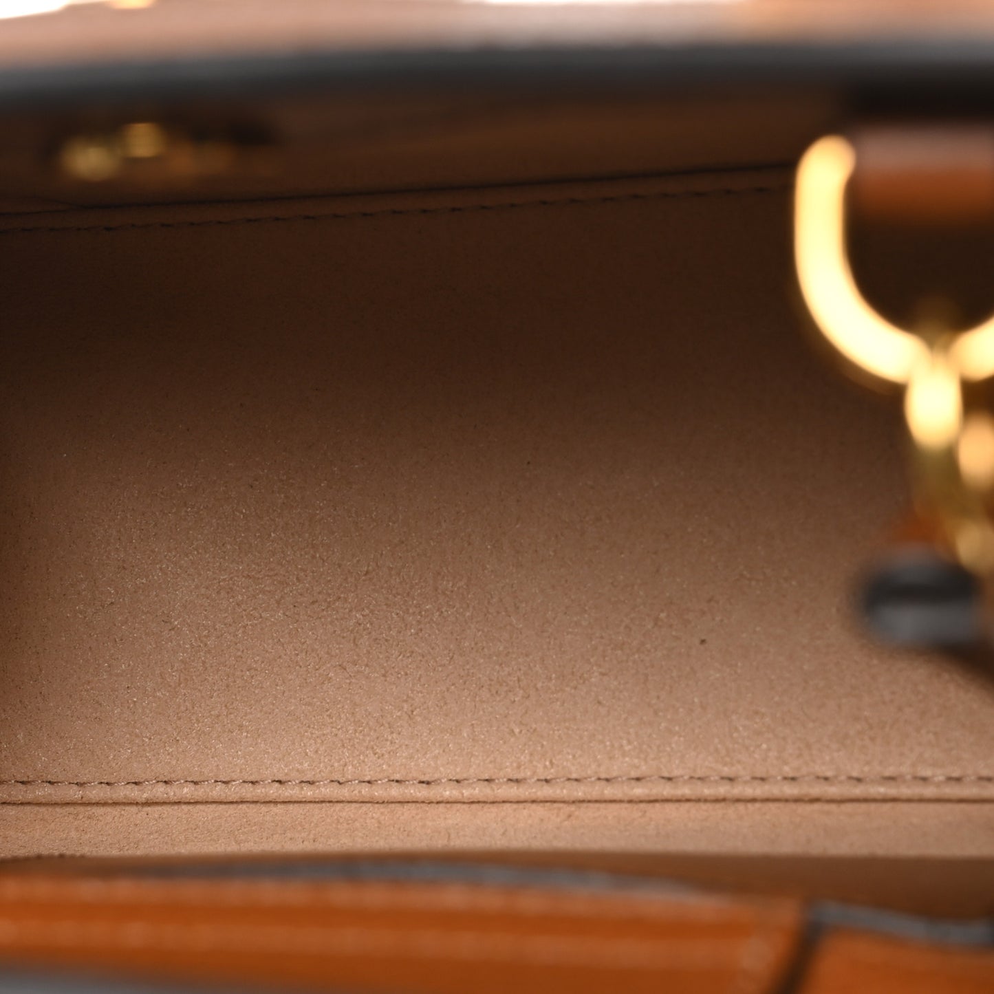 Textured Dollar Calfskin Web Mini Diana Tote Bag Cuir Black