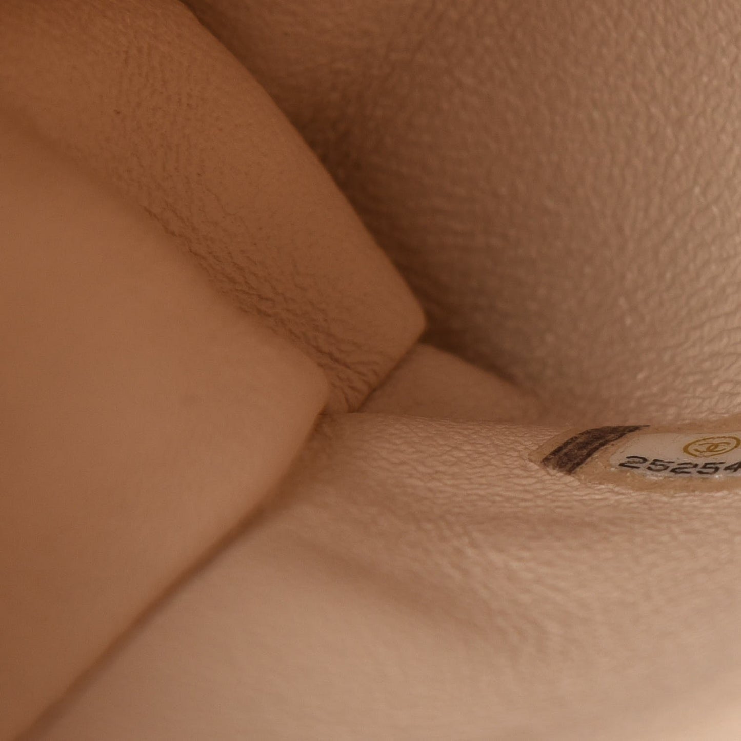 Calfskin Lizard Chevron Quilted Mini Coco Handle Flap Beige