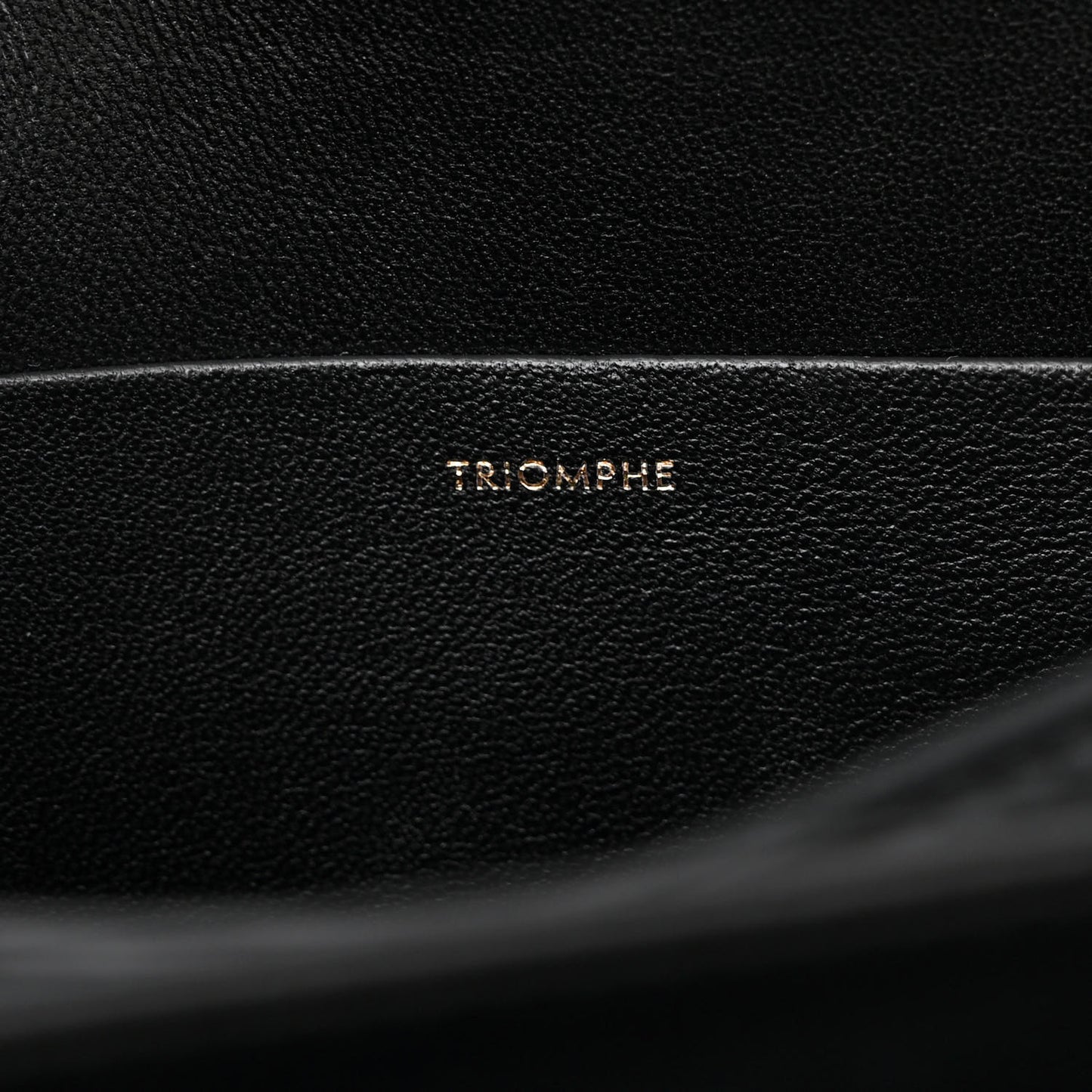 Shiny Calfskin Large Triomphe Black