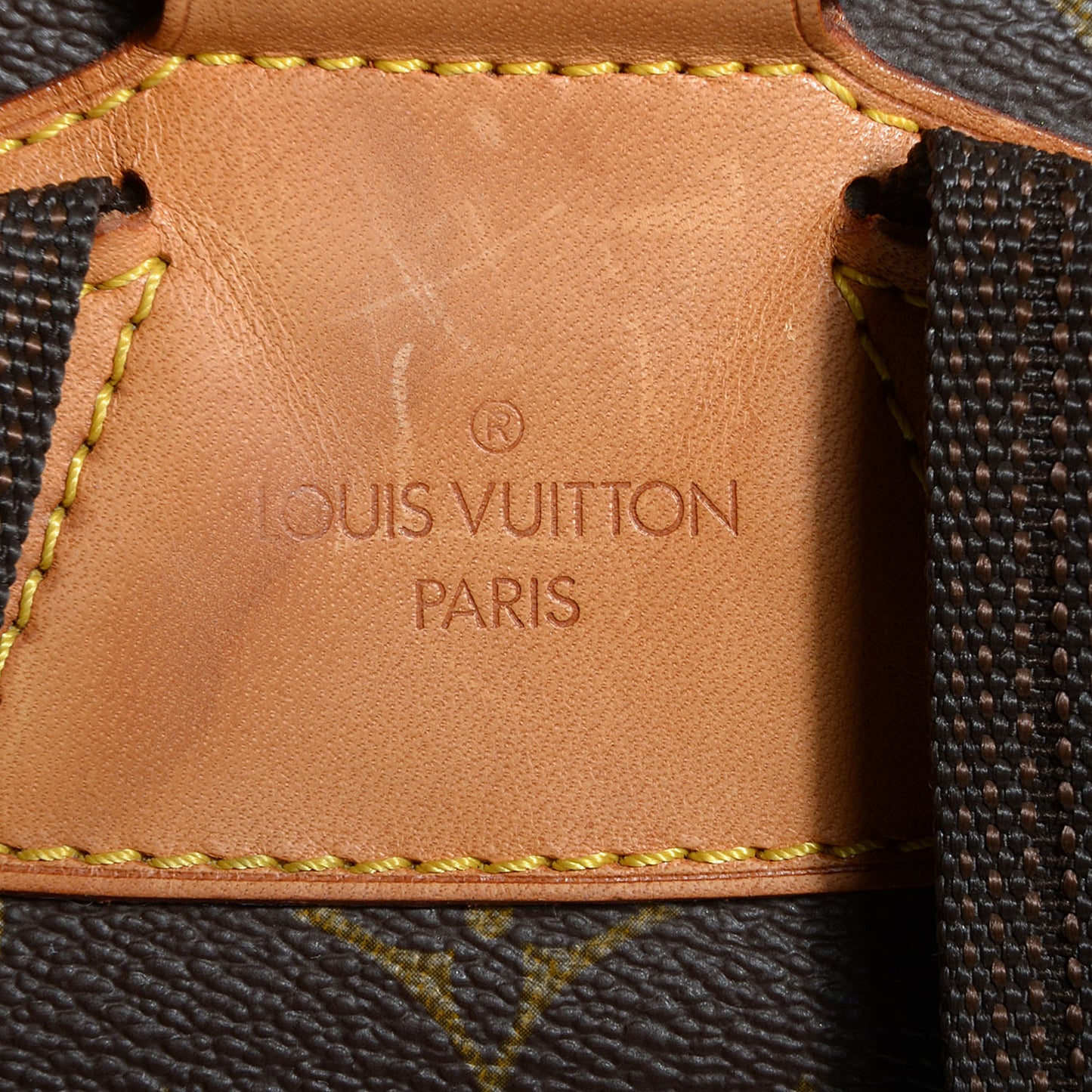 Monogram Montsouris GM Backpack