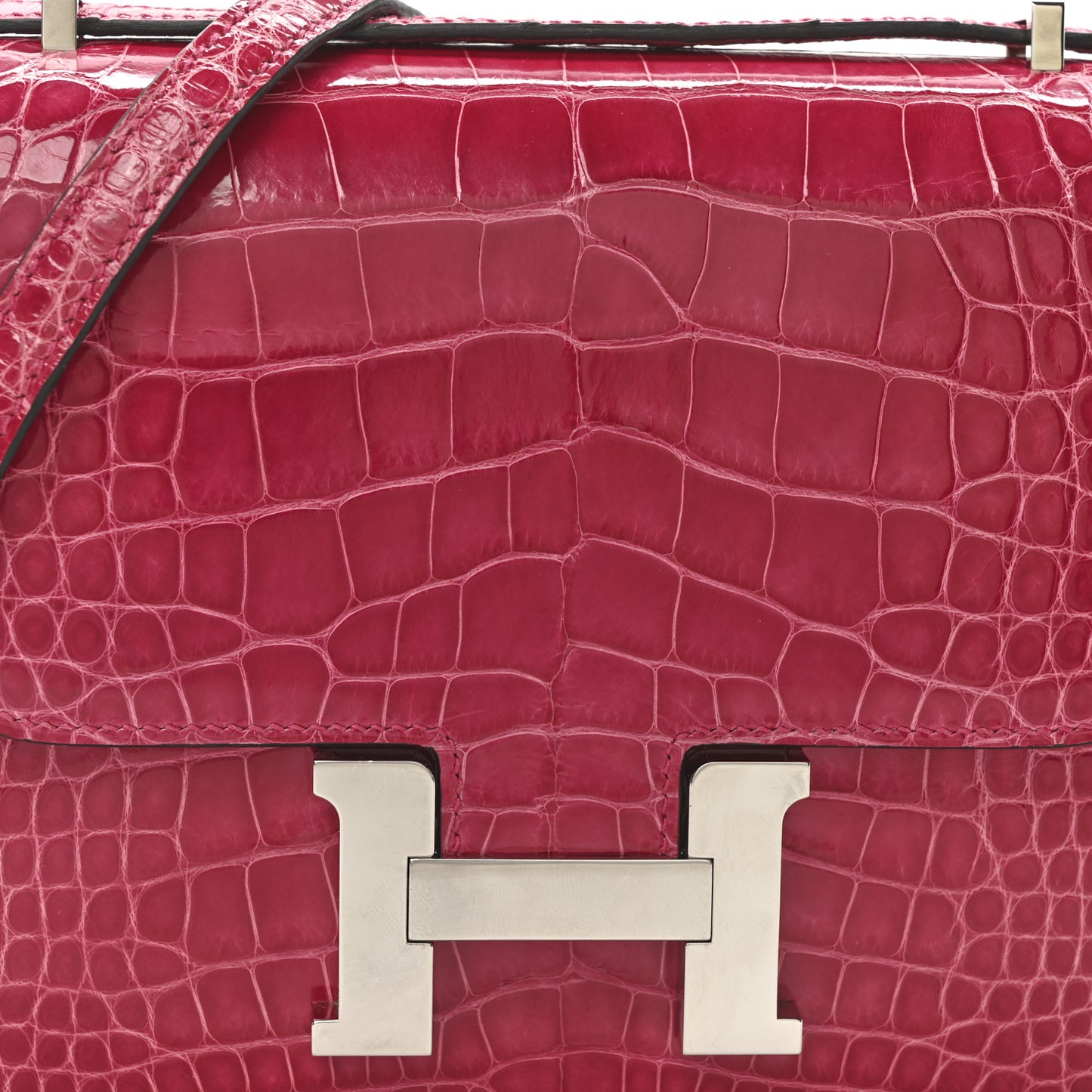 Shiny Alligator Constance 18 Rose Mexico