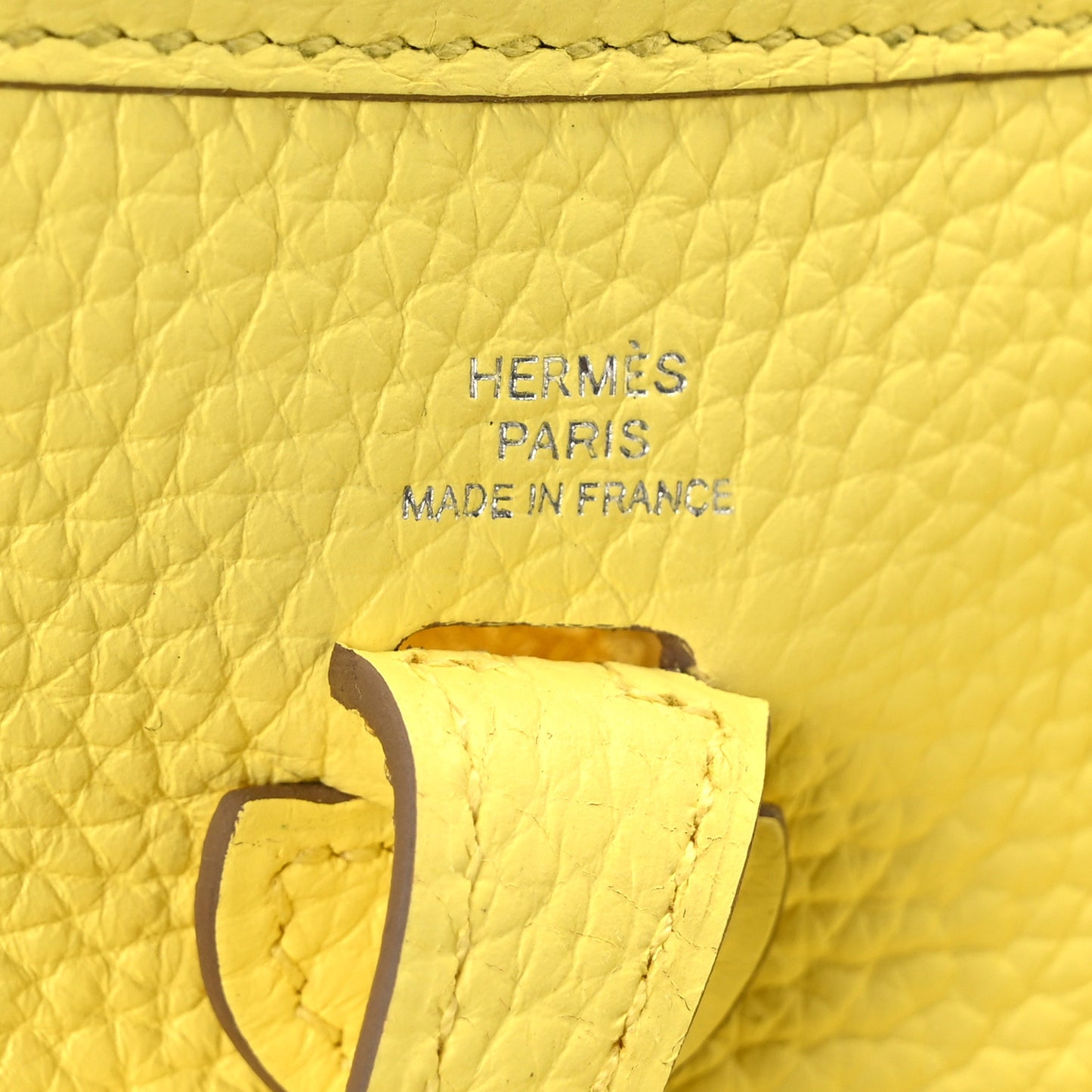 Taurillon Clemence Evelyne TPM Limoncello