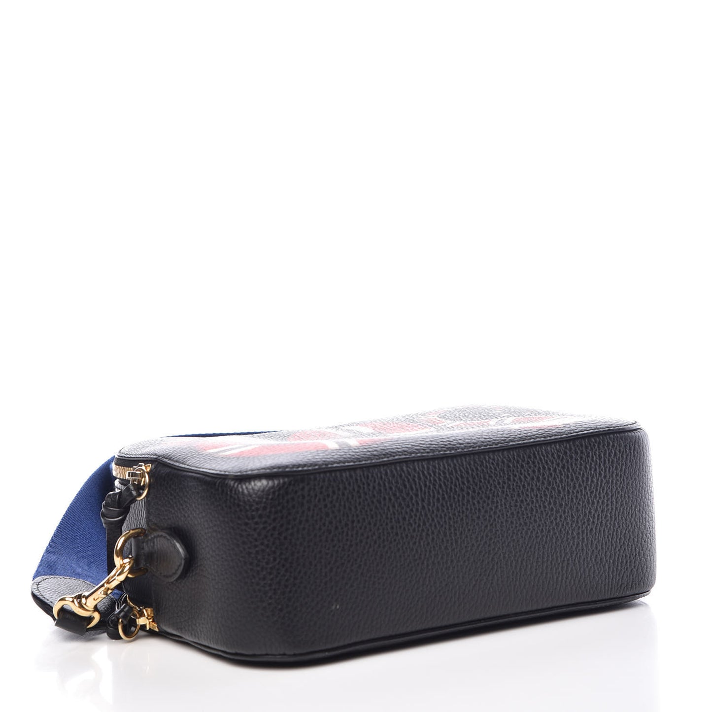 Grained Calfskin Sylvie Web Kingsnake Small Camera Bag Black Multicolor