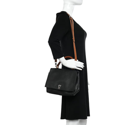 Moynat Taurillon Blush Danse Plume PM Black Cognac 2 of 11