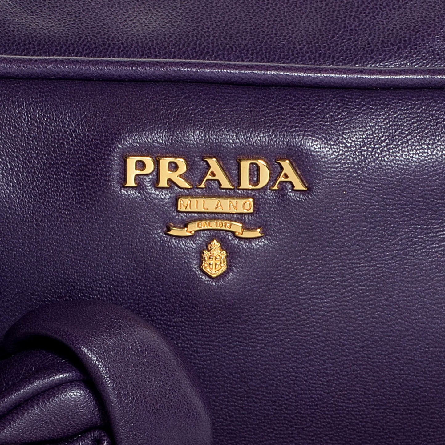 Nappa Rosette Camera Crossbody Viola