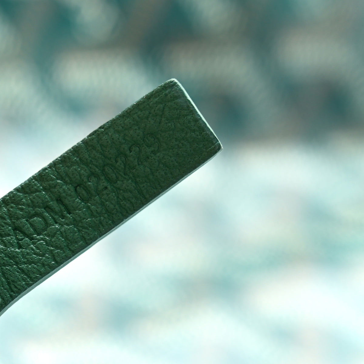 Goyardine Saint Louis PM Green