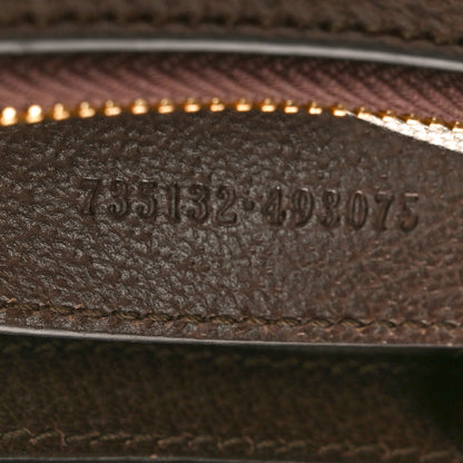 Gucci GG Supreme Monogram Textured Dollar Calfskin Web Small Ophidia GG Handbag Beige Ebony New Acero 7 of 10