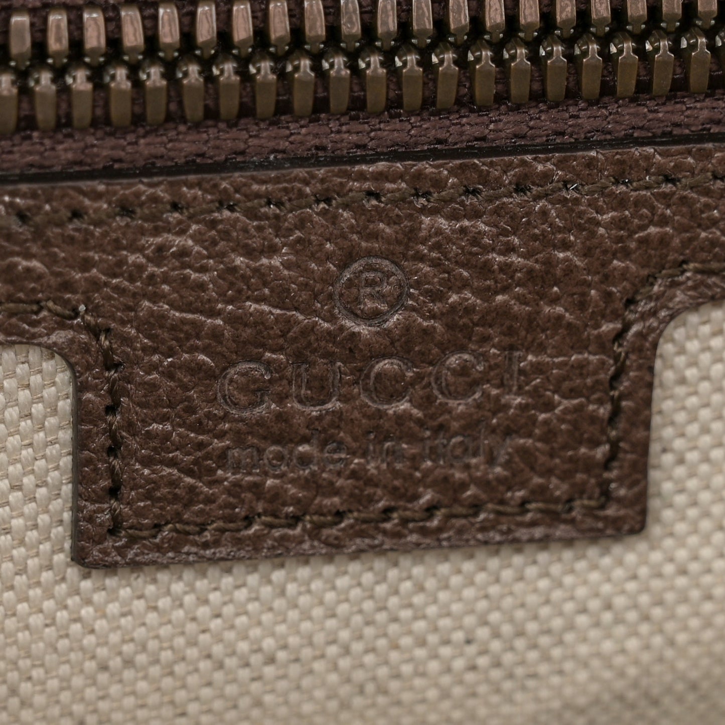 GG Supreme Monogram Textured Dollar Calfskin Web Ophidia Flap Shoulder Bag Beige Ebony New Acero