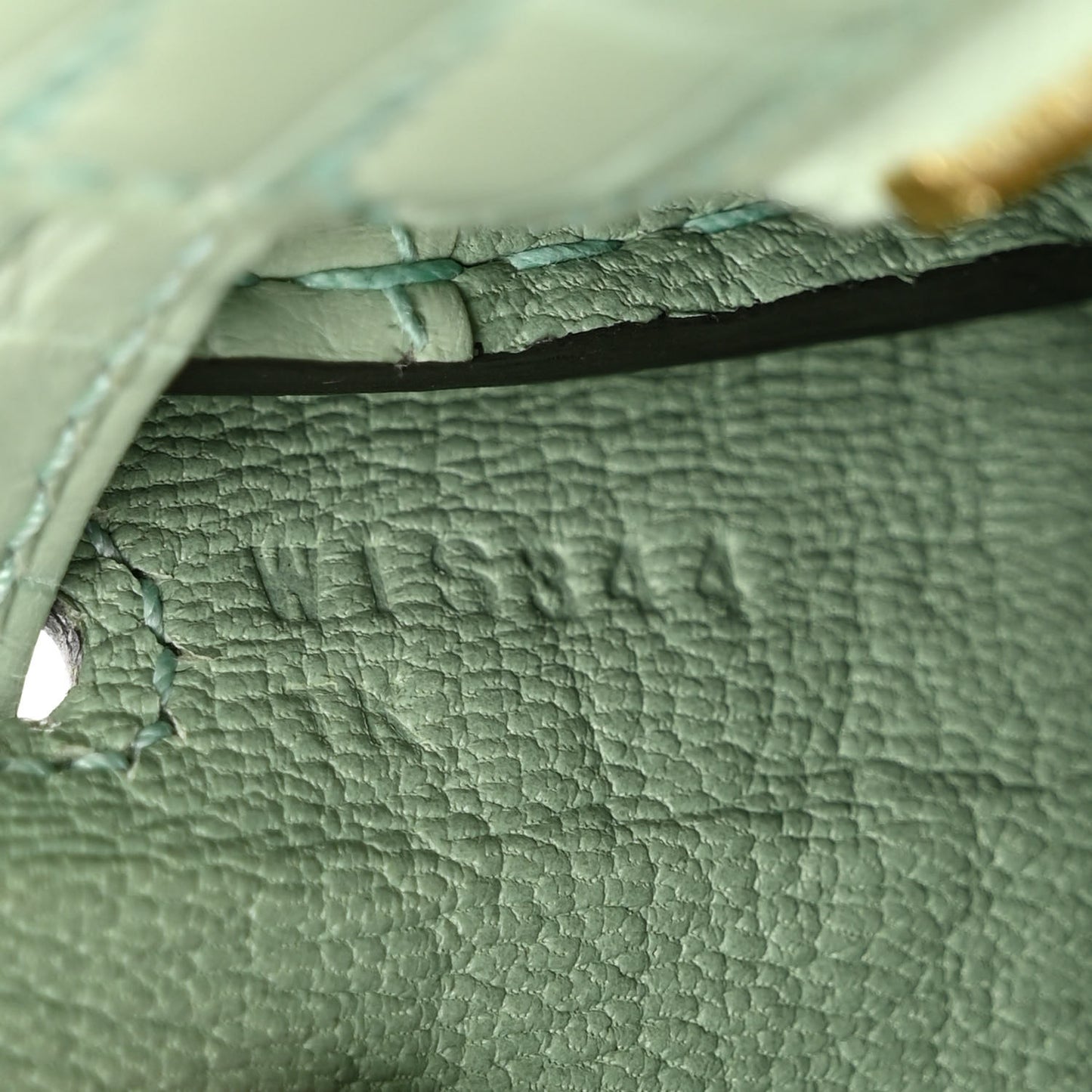 Matte Alligator Kelly Retourne 25 Vert D'eau