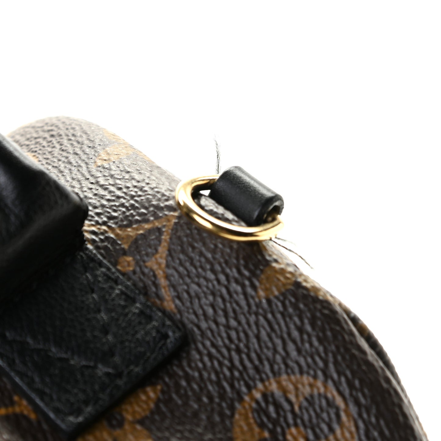 Monogram Palm Springs Backpack Mini