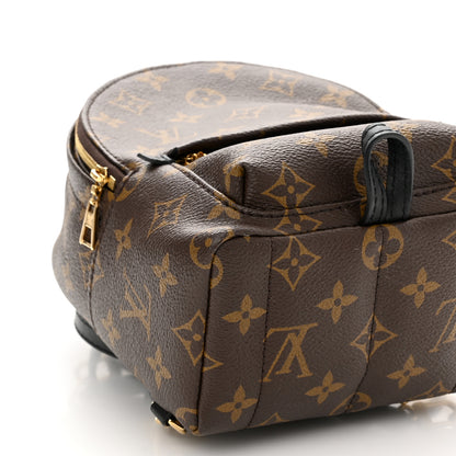 Louis Vuitton Monogram Palm Springs Backpack Mini 9 of 10