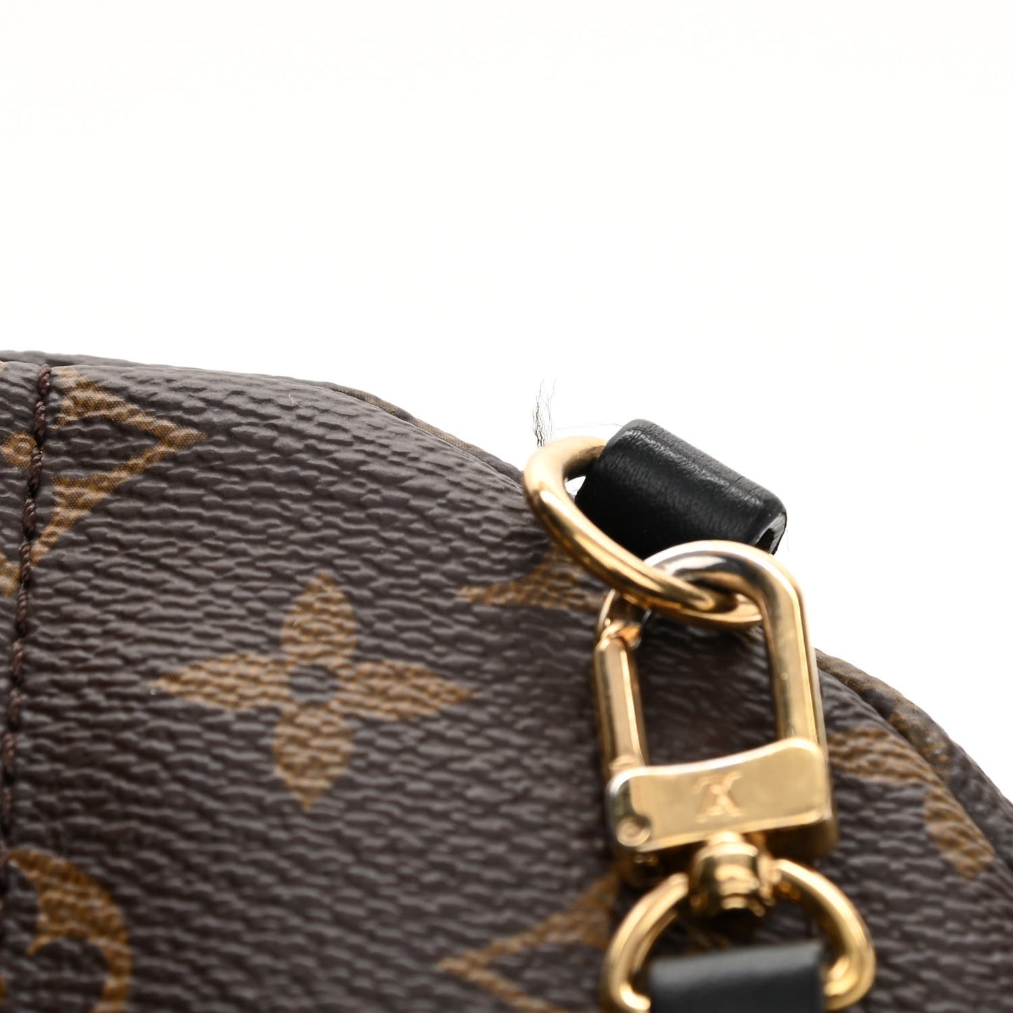 Monogram Palm Springs Backpack Mini