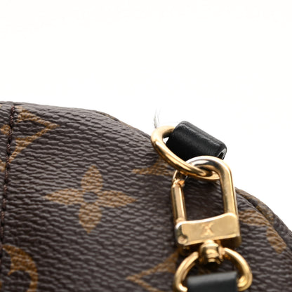 Louis Vuitton Monogram Palm Springs Backpack Mini 12 of 13
