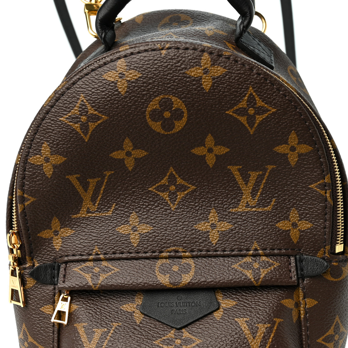 Monogram Palm Springs Backpack Mini