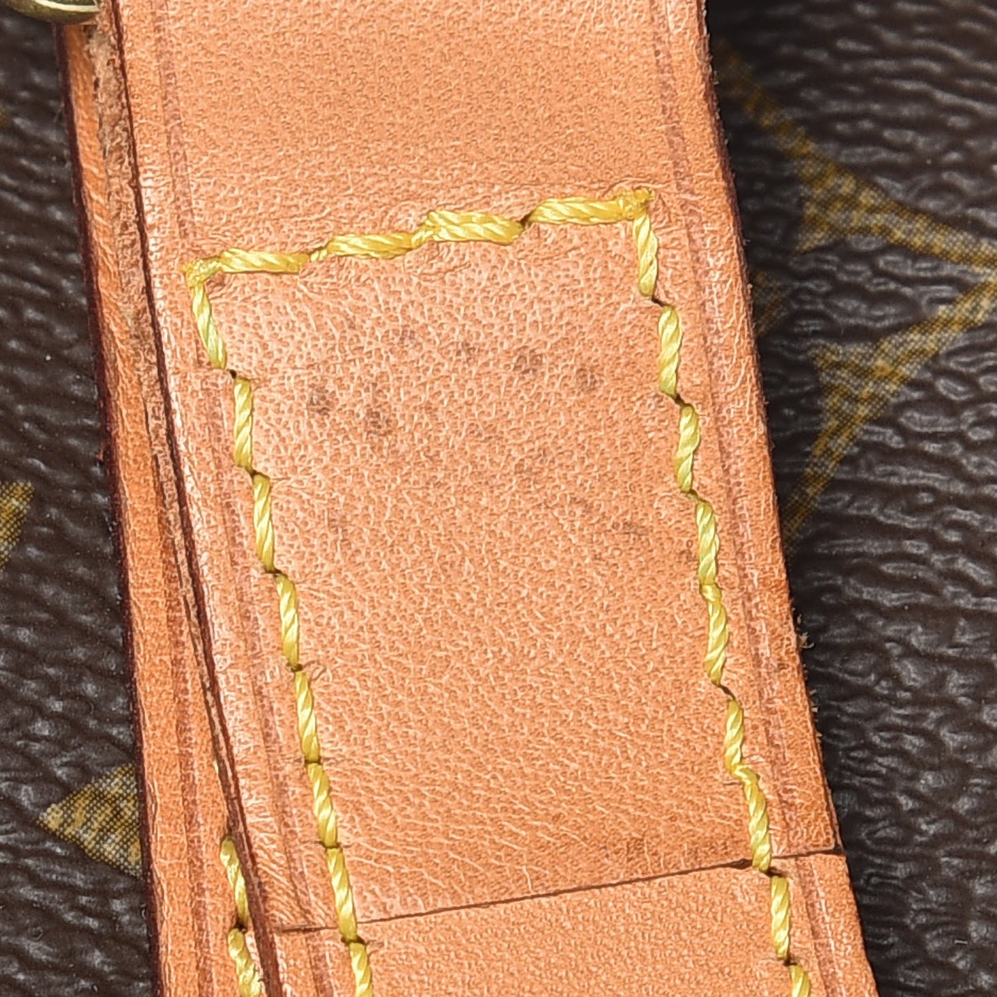 Monogram Sac Flanerie 45