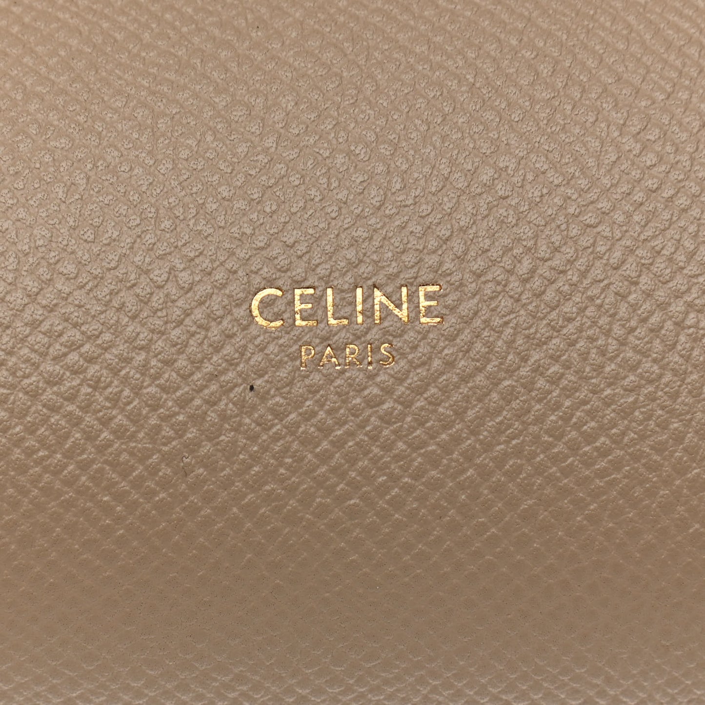 Grained Calfskin Mini Belt Bag Light Taupe