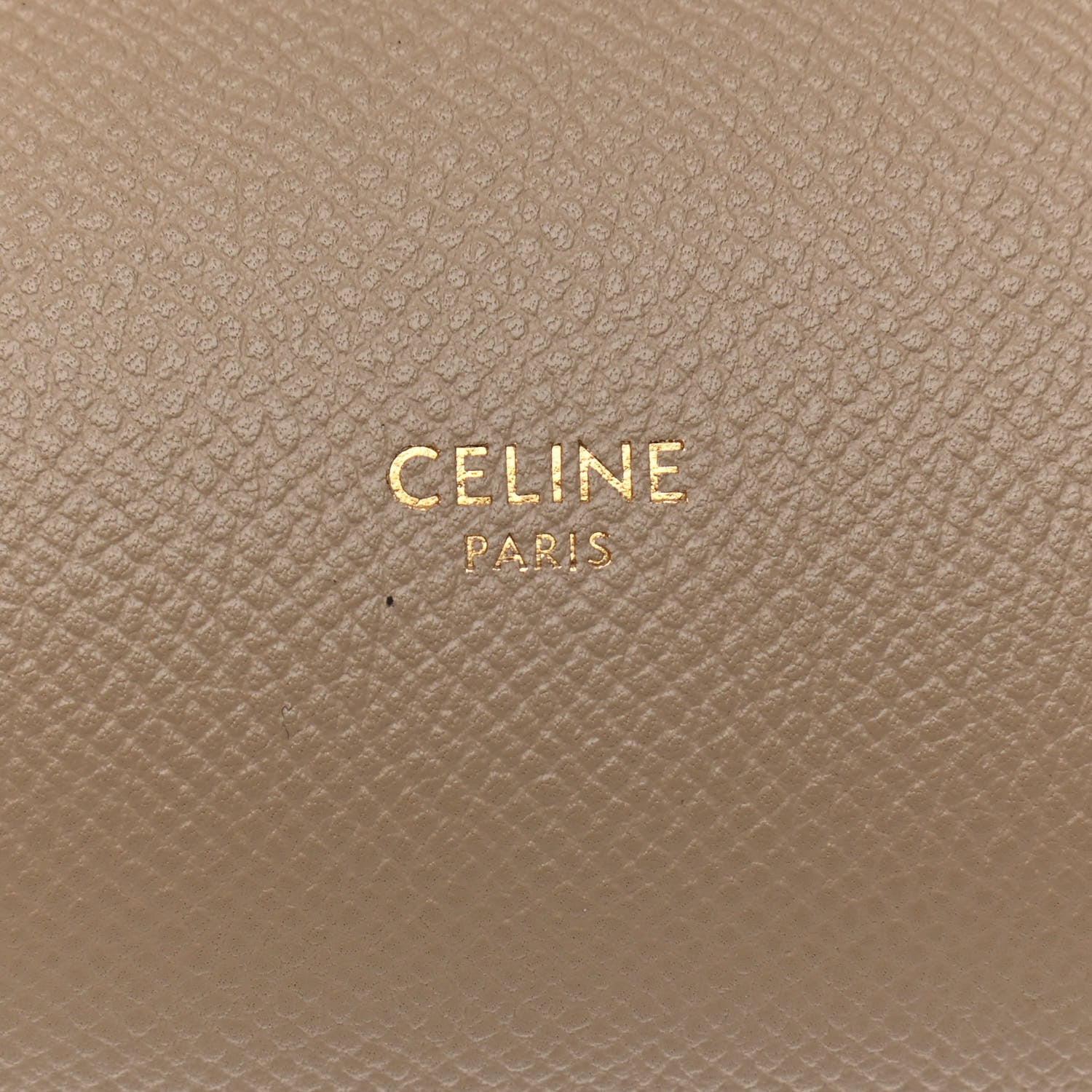 Celine Grained Calfskin Mini Belt Bag Light Taupe 6 of 11