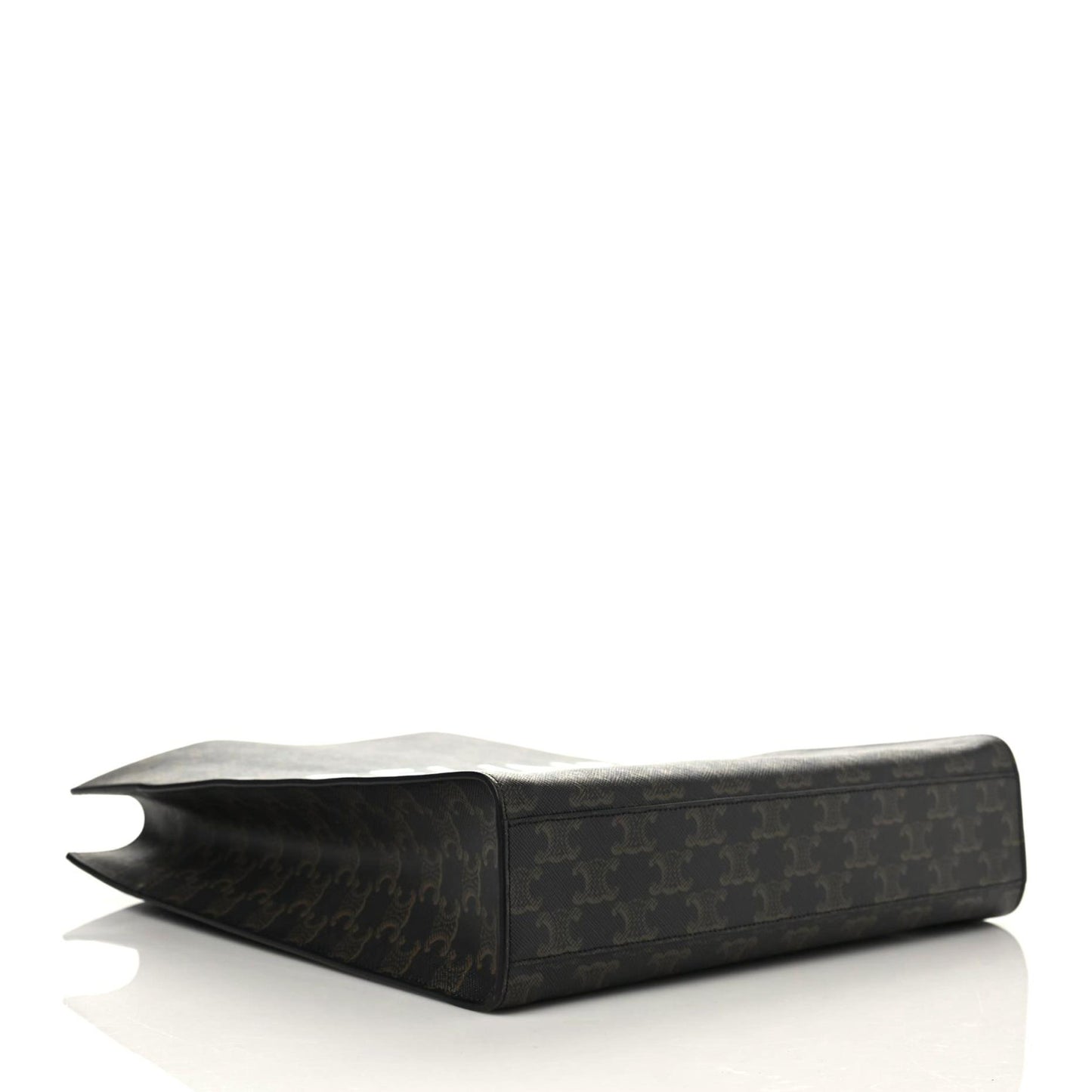 Triomphe Canvas Calfskin Medium Vertical Cabas Black
