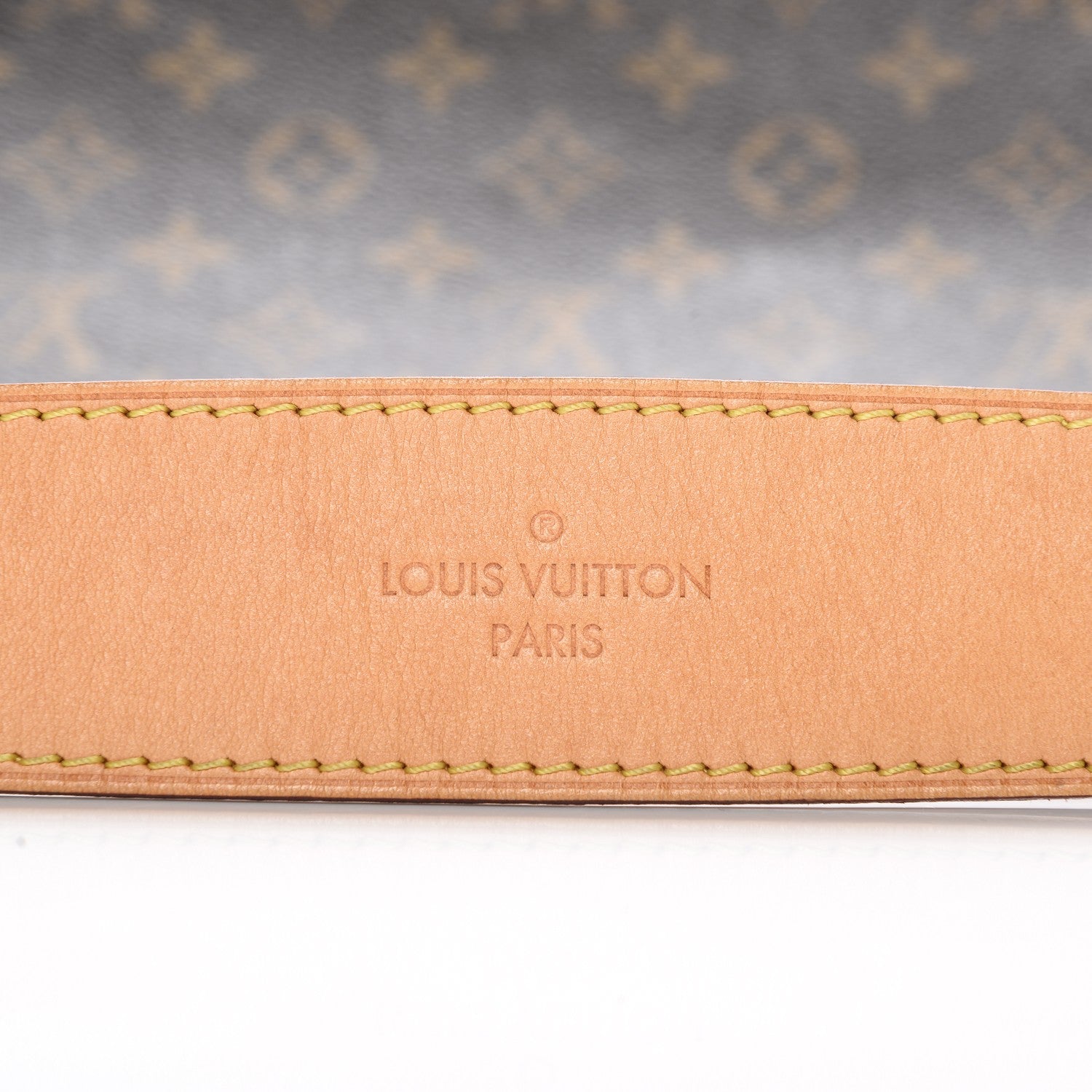 Louis Vuitton Monogram Delightful MM Pivoine 16 of 16