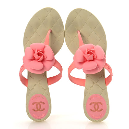Chanel Jelly Quilted Camellia Thong Sandal 39 Pink Beige 2 of 11