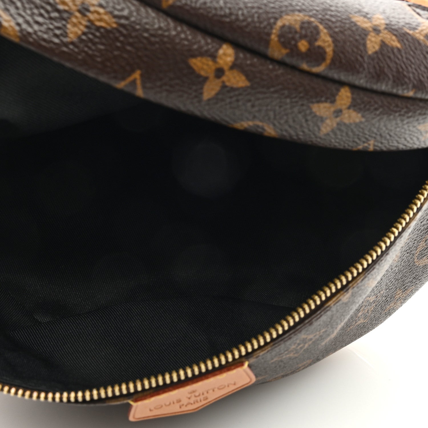 Louis Vuitton Monogram Bumbag 5 of 8