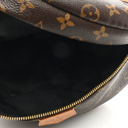 Louis Vuitton Monogram Bumbag 5 of 8