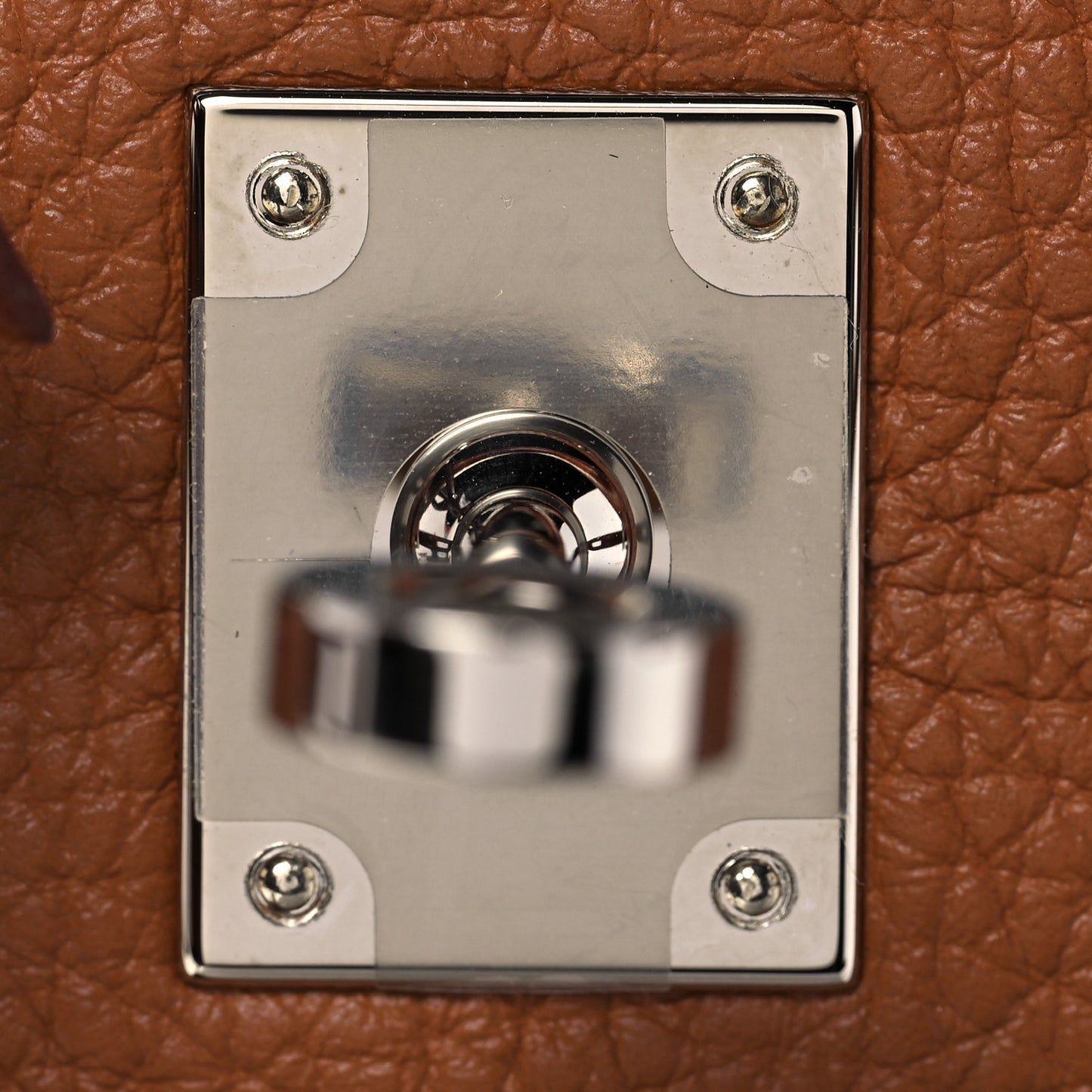 Togo Matte Alligator Birkin Touch 25 Gold