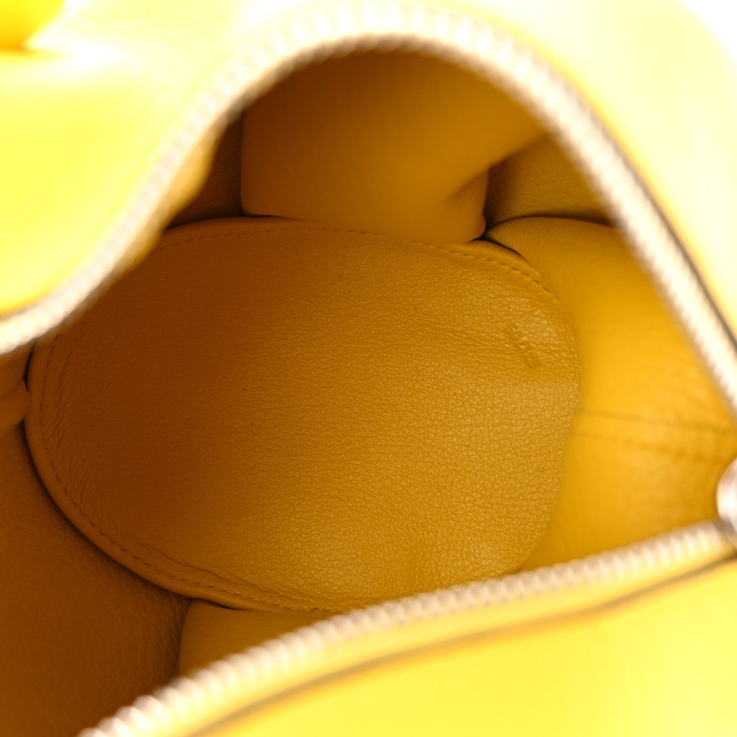 Loewe Calfskin Mini Elephant Crossbody Bag Yellow 5 of 11