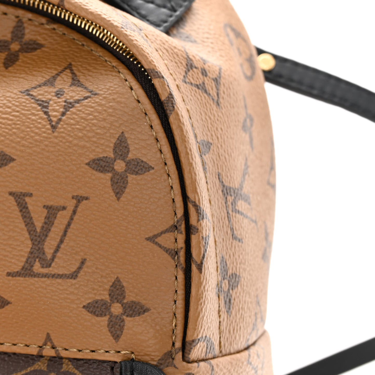 Reverse Monogram Palm Springs Backpack Mini
